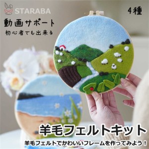 羊毛フェルトキット 材料道具キット スターターセット 羊毛フェルト 手芸材料セット 手作り 刺繍枠 ニードル 羊毛 図案 布セット 動画サ