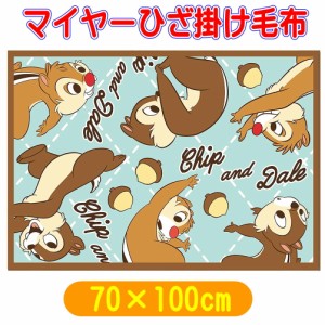 チップ&デール ハッピーどんぐり ひざ掛け毛布 ブランケット クォーターケット 70×100cm ディズニー キャラクター 丸眞 2245024100