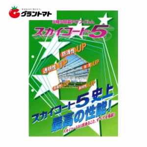 スカイコート5　中接　0.1×570×8　2.5間×3間用屋根ビニール【ビニールハウス】