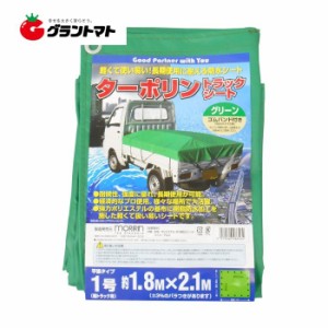 ターポリントラックシート グリーン 1号 1.8m×2.1m ゴムバンド10本付き モリリン