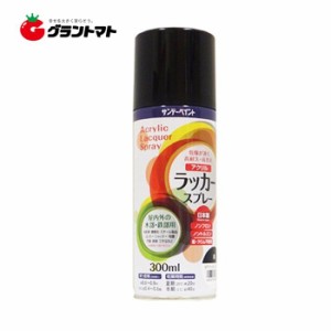 アクリルラッカースプレー 300ml 黒色 スプレー塗料 サンデーペイント