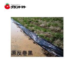 アゼマルチ 0.04×90×200 アゼの漏水防止ポリフィルム