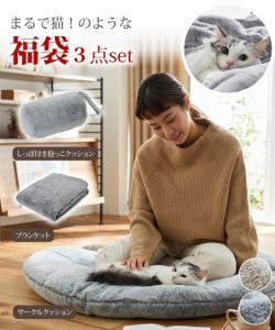 クッション 福袋 猫とくつろぐ × ブランケット 3点セット 猫Feel スコティッシュフォールド ベージュ系 /ロシアンブルー グレー系 福袋 