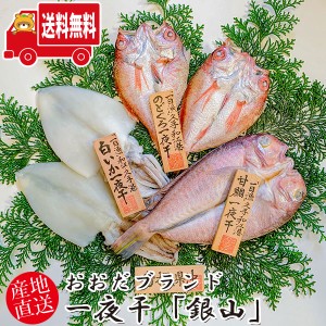 (地域限定送料無料) 岡富商店 おおだブランド一夜干「銀山」〈甘鯛1枚(175g)・白いか2枚・のどぐろ1〜2枚(計170g)〉冷凍 干物セット ギフ