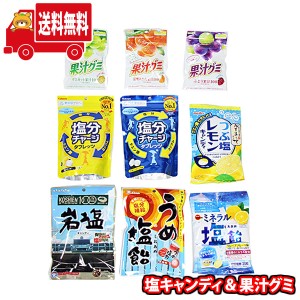 (地域限定送料無料) お菓子 詰め合わせ 熱中症対策に 各種 塩キャンディ 塩分チャージタブレッツと果汁グミセット(omtma9231k) 【セット 