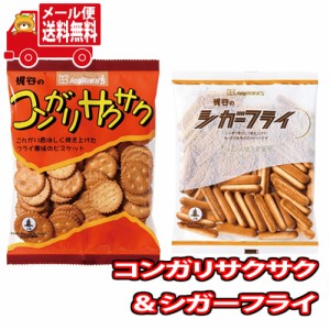 (メール便で全国送料無料) お菓子 詰め合わせ コンガリサクサク・シガーフライセット (計2コ) (omtmb8274) おかしのマーチ  