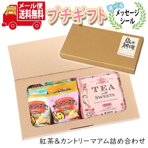 プチギフト お菓子 送料無料 【選べるメッセージシール】ほっと一息 スマイルなカントリーマアム(バニラ)と紅茶 ミニギフト(2種・8コ)  