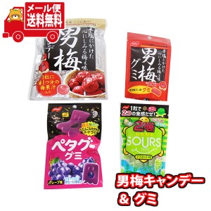 (メール便で全国送料無料)お菓子 詰め合わせ 男梅キャンディとグミいろいろセット(4種・計4個)  (omtmb8469)【お菓子 詰め合わせ 個包装 