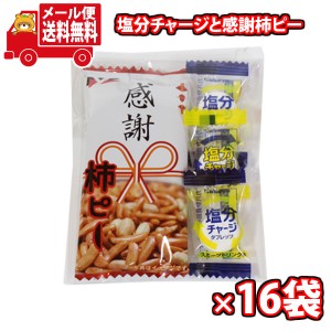 (メール便で全国送料無料)お菓子 詰め合わせ 【16袋セット】お菓子詰め合わせ 熱中症対策や作業のお礼用にも 塩分チャージと感謝柿ピー 