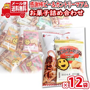 (メール便で全国送料無料)【12袋セット】お菓子 詰め合わせ プチ袋ギフト 感謝柿ピーとカントリーマアム（バニラ）セット 袋詰め おかし