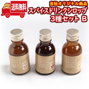 (地域限定送料無料) スパイスドリンクシロップ 100ml 3種セットB おかしのマーチ (sl007)