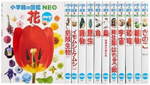 小学館の図鑑NEO DVDつき(12巻セット)(中古品)