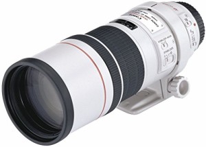 Canon 単焦点望遠レンズ EF300mm F4L IS USM フルサイズ対応(中古品)