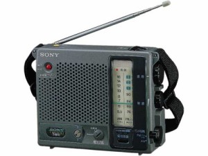 ソニー FM/AMラジオ ICF-B100  SONY (中古品)