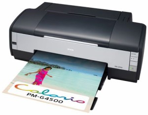 EPSON Colorio インクジェットプリンター PM-G4500 A3ノビ対応 6色染料イン(中古品)