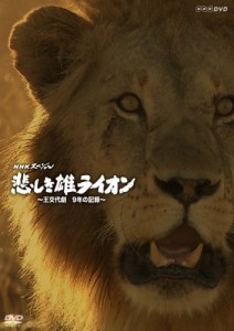 NHKスペシャル 悲しき雄ライオン~王交代劇 9年の記録~ [DVD](中古品)