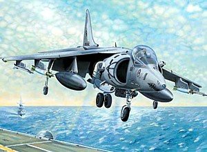 トランペッター 1/32 アメリカ海兵隊 AV-8B ハリアーII 02229 プラモデル(中古品)