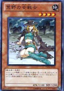 遊戯王シングルカード 荒野の女戦士 ノーマル ysd5-jp016(中古品)