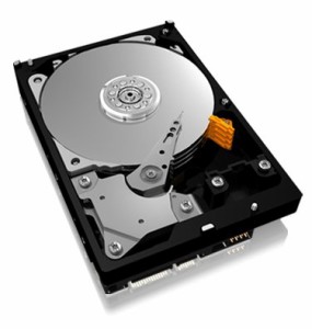 WESTERN DIGITAL 3.5インチ内蔵HDD 3TB SATA/6.0Gbs 5400rpm 64MB 750GB/pl(中古品)