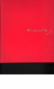 映画パンフレット　「靴に恋する人魚」監督ロビン・リー　出演ビビアン・ス(中古品)