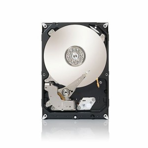 Seagate 3.5インチ内蔵HDD 3TB SATA 6.0Gb/s 7200rpm 64MB ST3000DM001(中古品)