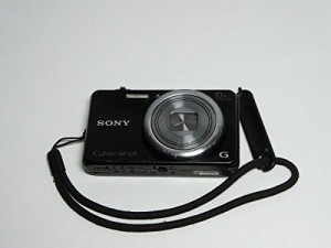 ソニー SONY デジタルカメラ Cyber-shot DSC-WX170 1820万画素CMOS 光学10 (中古品)