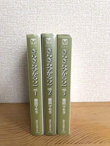 きらきらひかる2 文庫版 コミック 全3巻完結セット (講談社漫画文庫)(中古品)