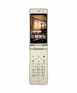 docomo STYLE series P-01E [シャンパンゴールド](中古品)