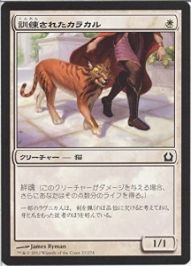 MTG（マジックザギャザリング） 訓練されたカラカル/Trained Caracal（コモ(中古品)