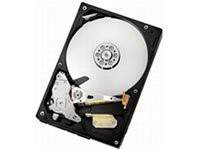 WESTERNDIGITAL Caviar Black [1TB SATA2 3.5インチHDD] 〔WD1001FAES〕(中古品)