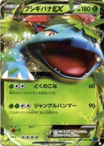 ポケモンカードゲーム フシギバナEX (RRキラ) / XY1拡張パック「コレクショ(中古品)