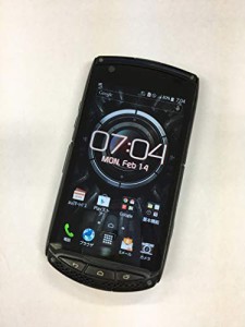 au TORQUE G01 KYY24 [ブラック]　白ロム(中古品)