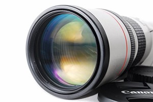 Canon キャノン EF 300mm F4L USM 高級単焦点レンズ カメラ(中古品)