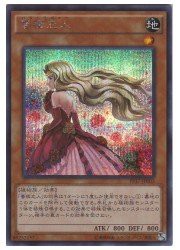 遊戯王　茶　薔薇恋人(S)(PP17-JP003)(中古品)