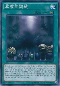 遊戯王OCG 真帝王領域 ノーマル SR01-JP024 遊戯王アーク・ファイブ [STRUC(中古品)