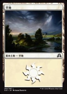 マジックザギャザリング/イニストラードを覆う影/MTG/SOI-JP-284/平地/(中古品)