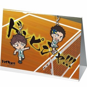 一番くじ ハイキュー!! 繋げ!!全国への軌跡!! N賞 準決勝!!及川＆岩泉ラバ (中古品)