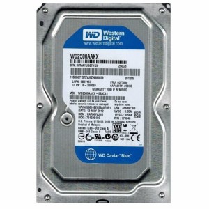 WD2500AAKX-083CA1 Western Digital 250GB 7200RPM SATA 6.0 Gbps 3.5 inch(中古品)