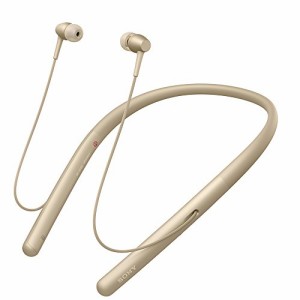 ソニー SONY ワイヤレスイヤホン h.ear in 2 Wireless WI-H700 : Bluetooth(中古品)