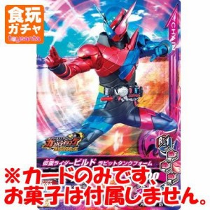 仮面ライダーバトル ガンバライジング ボトルマッチ チョコウエハース ［PB(中古品)