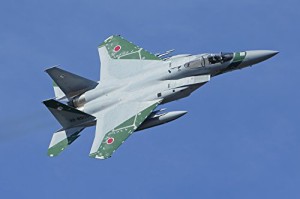 フジミ模型 1/48 日本の戦闘機シリーズSPOT No.5 F-15J 飛行教導群 アグレ (中古品)