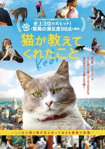  映画パンフレット 猫が教えてくれたこと　監督　ジェイダ・トルン　キャ(中古品)