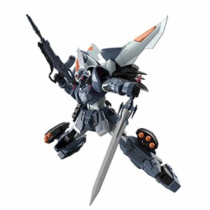 MG 機動戦士ガンダムSEED モビルジン 1/100スケール 色分け済みプラモデル(中古品)