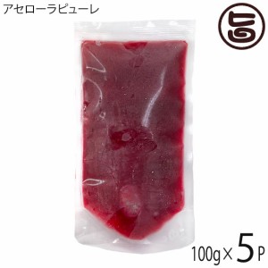 アセローラフレッシュ アセローラピューレ 100g×5P 無農薬栽培 沖縄