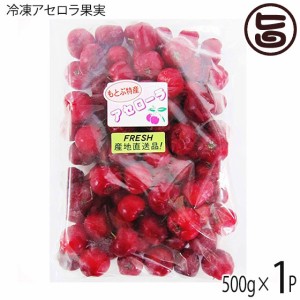 アセローラフレッシュ 冷凍アセロラ果実 500g×1P ビタミンC含有量レモンの約34倍 南国フルーツ 沖縄県産