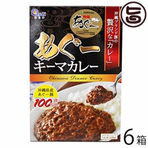 あさひ あぐーキーマカレー220ｇ×6箱 沖縄県産あぐー豚100%使用 たけしの家庭の医学 ターメリック クルクミン