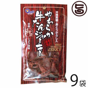 あさひ やわらか牛たんジャーキー 甘辛和風しょう油味 45g×9袋 沖縄黒糖 島唐辛子