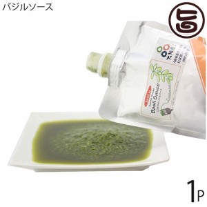 basil.sc こだわりのバジルソース スパウトパウチ入り 300g×1P 大阪 人気 無添加 調味料