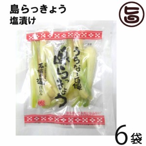 沖縄県産 島らっきょう塩漬け 50g×6袋 沖縄県産 おすすめ イチオシ