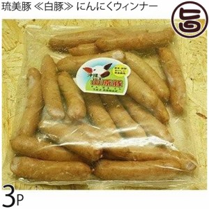 フレッシュミートがなは 山原豚（琉美豚）白豚 にんにくウィンナー 500g×3P